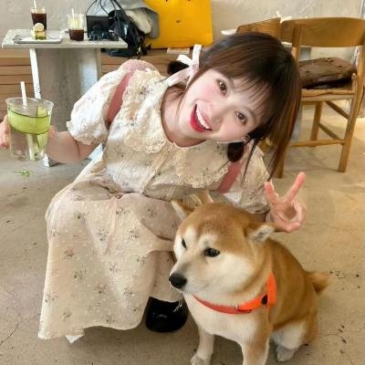 惹祸上身